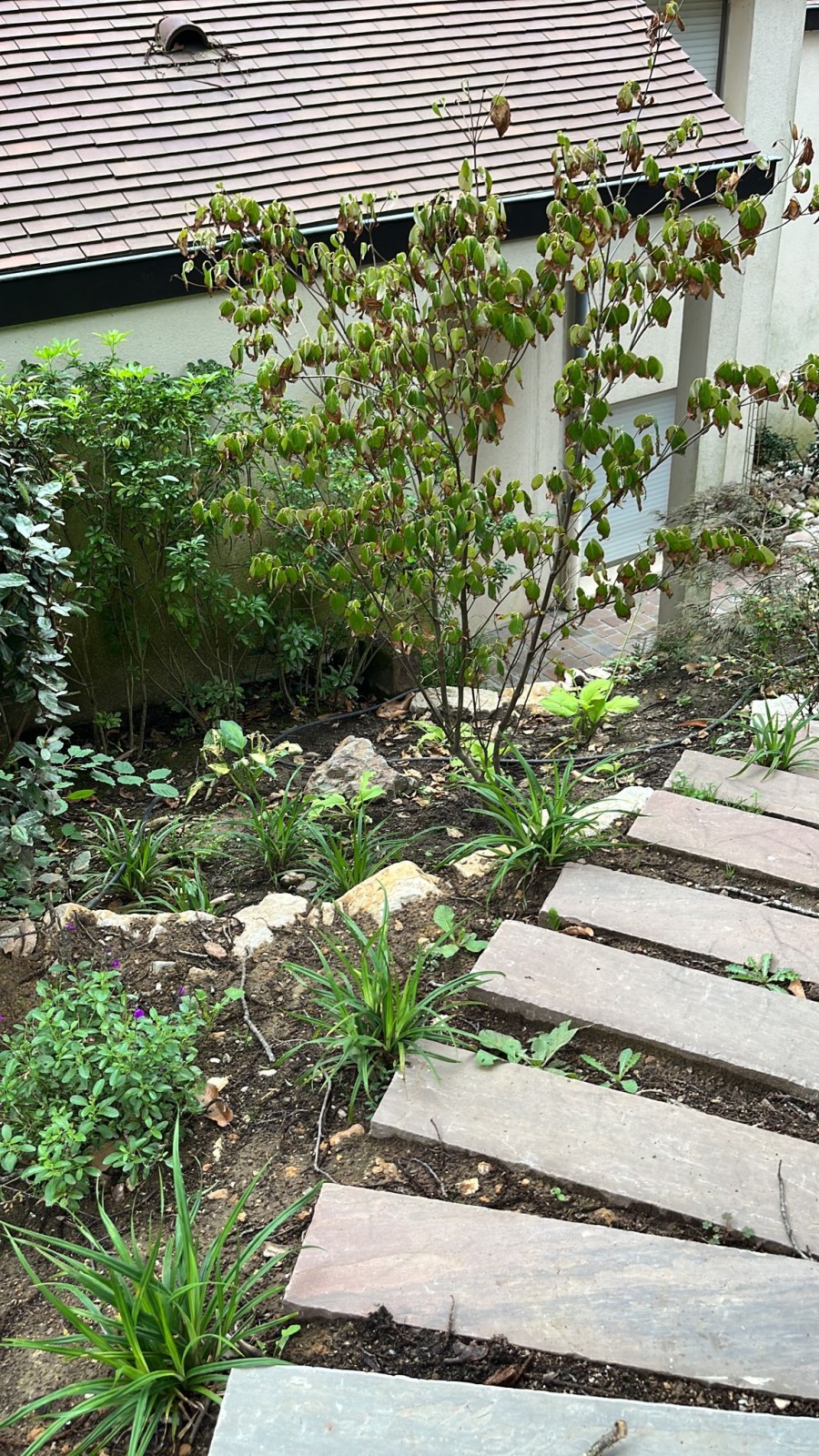 Travaux de débroussaillage dans une propriété à Garches dans les Hauts-de-Seine 92