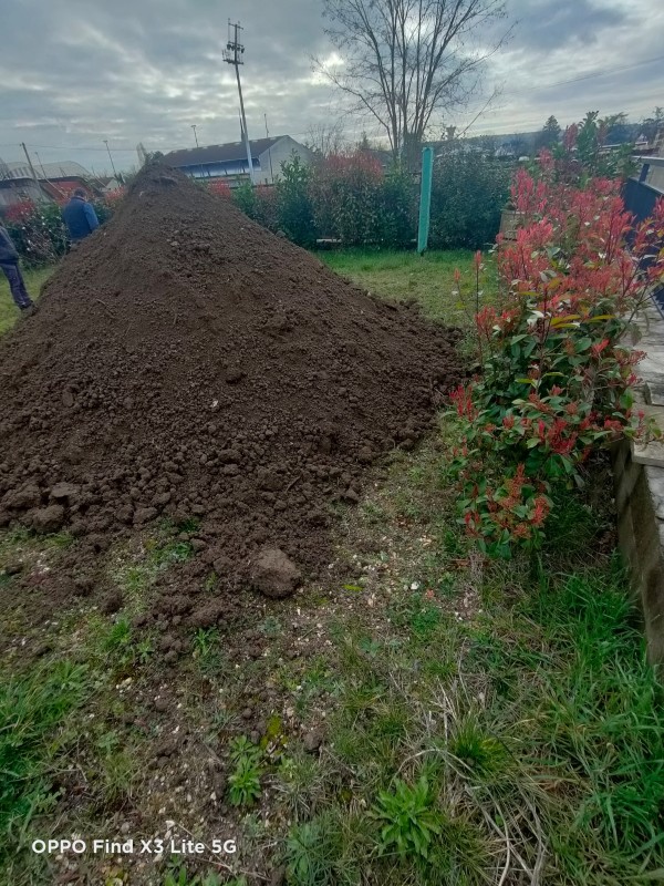 Réalisation d'une plantation de haie à proximité de St Germain en Laye