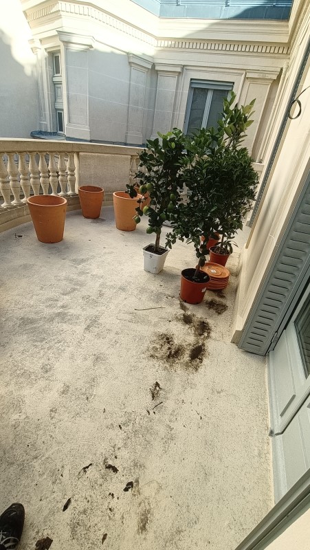 Plantation d'une petite cour intérieur à proximité de Garches