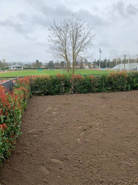 Engazonnement d'un jardin à proximité de St Germain en Laye
