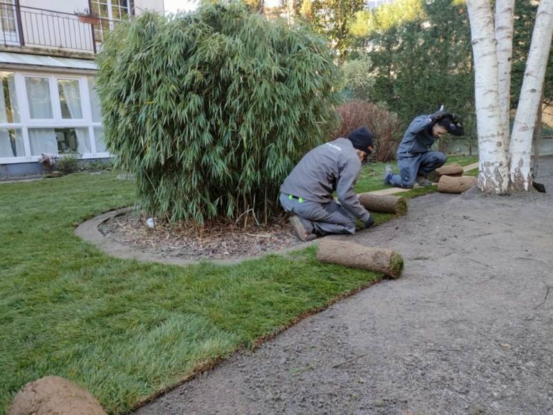 Pose de gazon naturelle en rouleau à Versailles 78