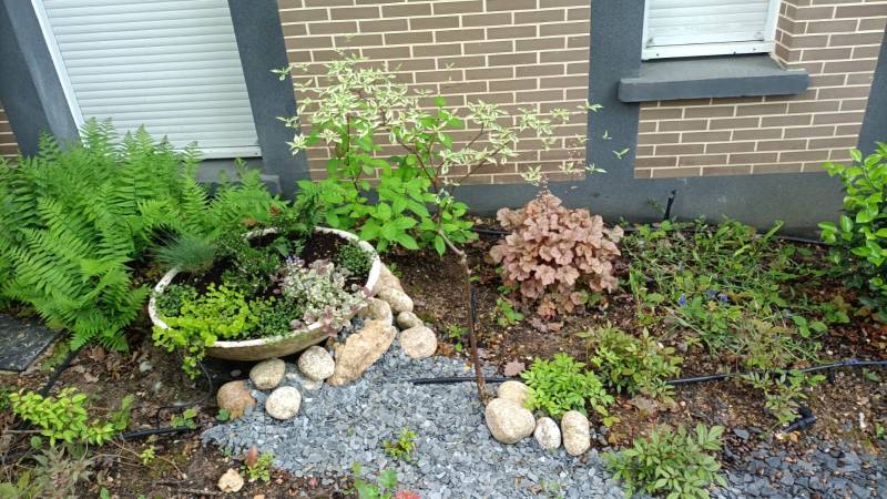 Aménagement et la création de jardin japonais à Garches 92