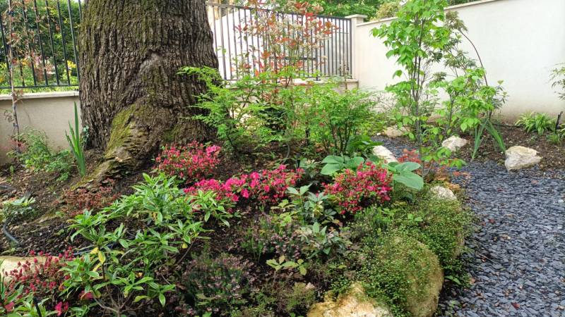 Aménagement et la création de jardin japonais à Garches 92