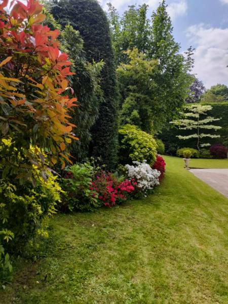 Entretien de jardin d'une maison à proximité de Versailles