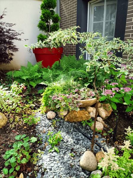Aménagement et la création de jardin japonais à Garches 92