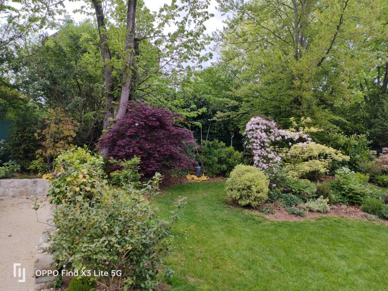 Jardin à Saint Germain en Laye