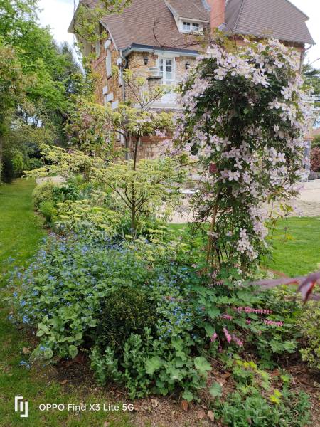 Jardin anglais à Saint Germain en Laye