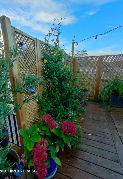 Aménagement Terrasse