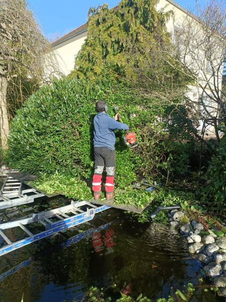 Trouver un paysagiste pour l'entretien d'un jardin à Saint Germain en Laye