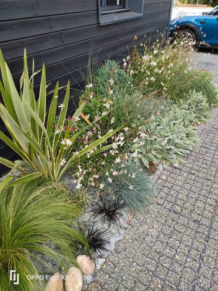 Création d'un jardin sur mesure à proximité de Saint Germain en Laye