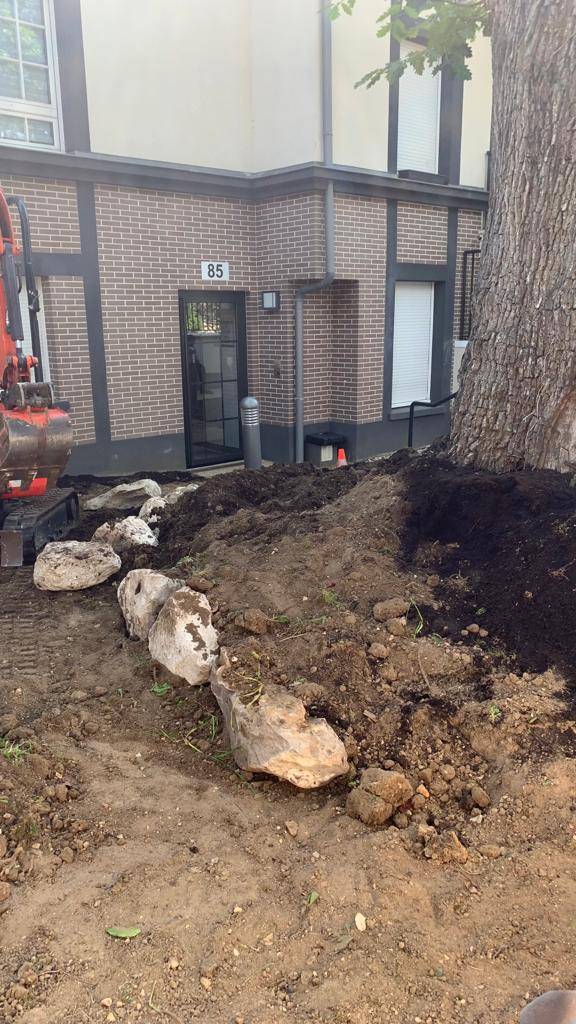 Aménagement et la création de jardin japonais à Garches 92