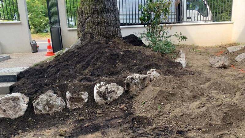 Aménagement et la création de jardin japonais à Garches 92