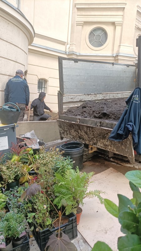 Plantation d'une petite cour intérieur à proximité de Garches