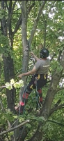 Notre zone d'activité pour ce service Paysagiste jardinier autour de moi pour pose clôture à