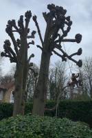 Notre zone d'activité pour ce service Création de jardinière en bois pour l'aménagement d'une terrasse