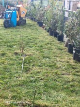 Nos prestations sur le secteur de Garches dans les Hauts-de-Seine 92