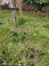 Nos prestations sur le secteur de Garches dans les Hauts-de-Seine 92