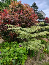 Nos prestations sur le secteur de Garches dans les Hauts-de-Seine 92